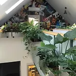 Zimo Taliandoeroegdi Mozihaz * Taliandorogd