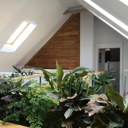 Apartman Zimo Taliándörögdi Moziház Taliandorogd