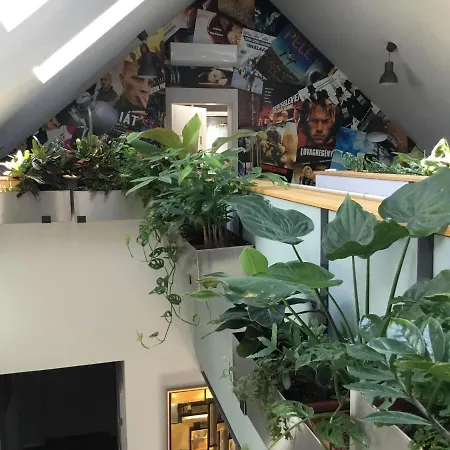 Zimo Taliándörögdi Moziház * Taliandorogd