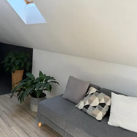 Zimo Taliándörögdi Moziház