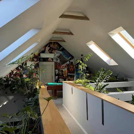 Apartman Zimo Taliándörögdi Moziház *