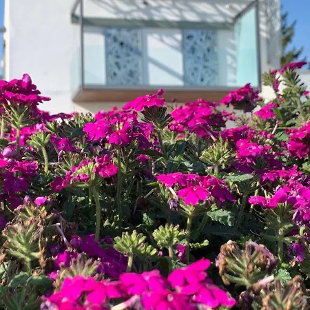 Zimo Taliándörögdi Moziház Apartman *