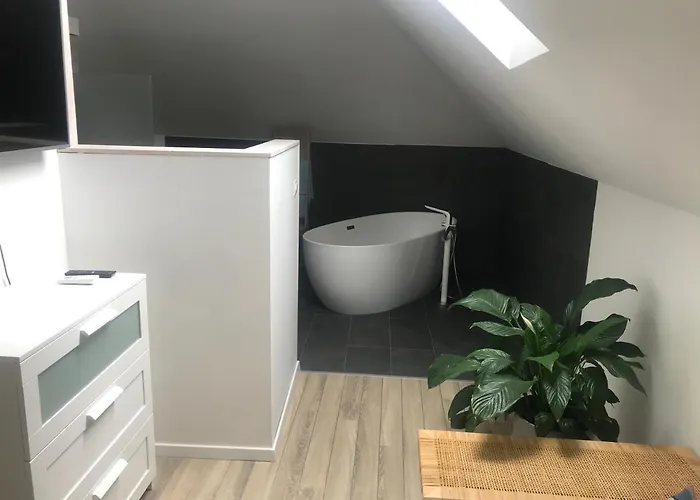 Zimo Taliandoeroegdi Mozihaz