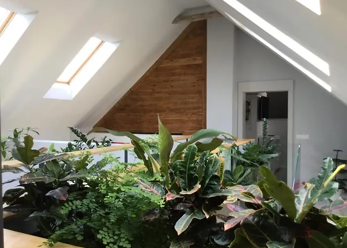 דירה Zimo Taliandoeroegdi Mozihaz Taliandorogd