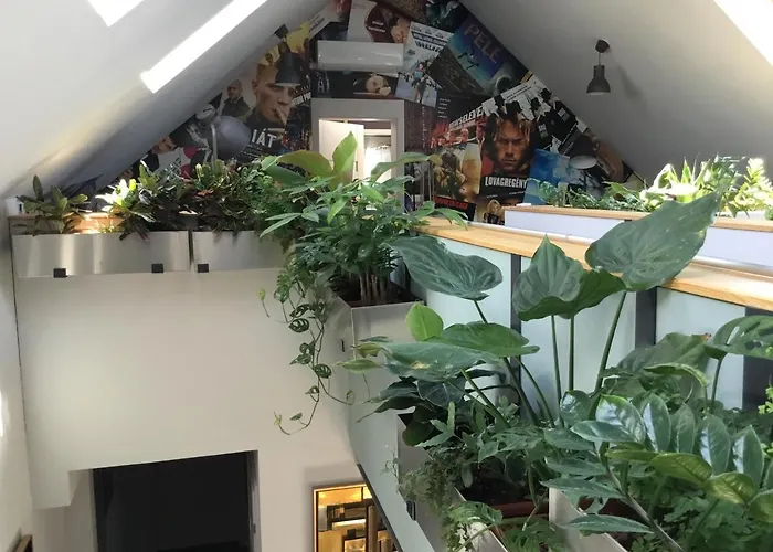 Zimo Taliandoeroegdi Mozihaz * Taliandorogd