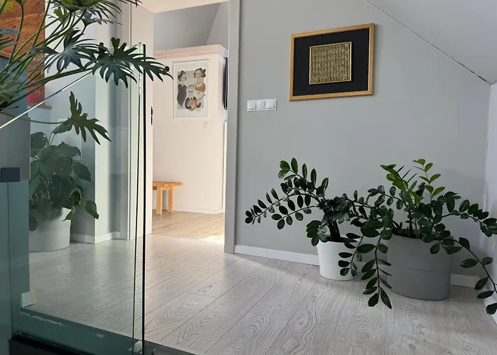 Zimo Taliandoeroegdi Mozihaz * Taliandorogd