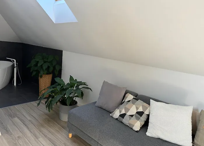 Zimo Taliandoeroegdi Mozihaz